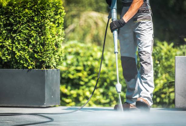 Best Rust Removal  in Denton, MD